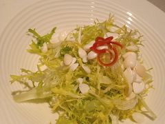 杏仁苦菊-醉胶东(友谊店)
