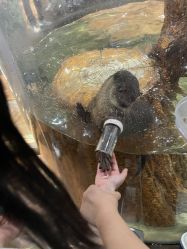 -Zoolung Zoolung动物主题公园(海信广场店)