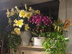 -春暖花开(西溪店)