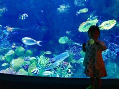 -暹罗海洋世界