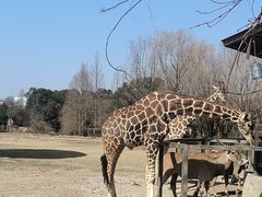 -宁波野生动物园