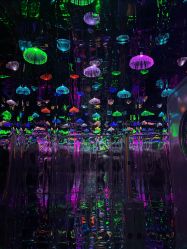 -疯狂冒险家-亲子密室-东坝店(金隅嘉品店)