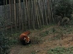 -南昌动物园