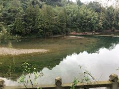 -四川省成都市彭州市白鹿镇