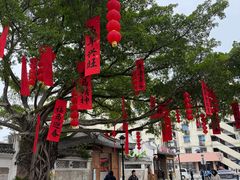 -墨池公园