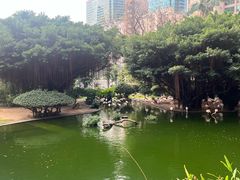 -九龙公园