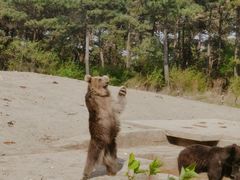 -沈阳森林动物园