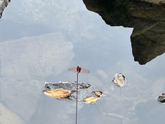 -鹿亭中村