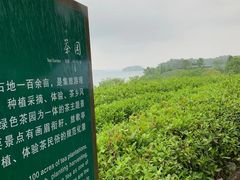 -南湾湖