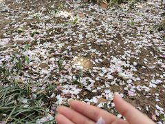 -山东理工大学
