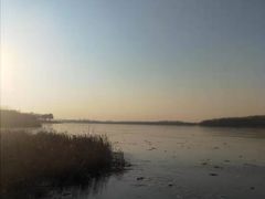 -丁香湖公园
