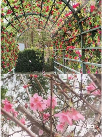 大四宿舍团第二次出游丨我们这次去肇庆啦~