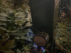 -成都市活水公园