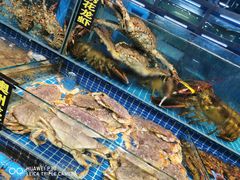 水产区-渔人湾码头海鲜市场负二楼