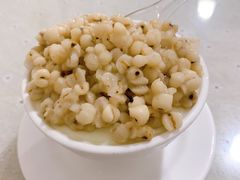 薏米双皮奶-老周记顺德双皮奶