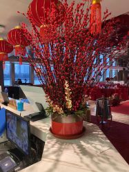 -Doris一站式游轮婚礼船东直营店(外滩店)