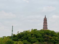 -顺峰山公园