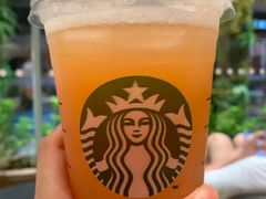 冰摇桃桃乌龙茶-星巴克(深圳丹竹头分店)