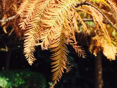 -苏州河梦清园环保主题公园