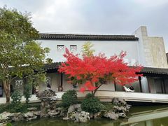 -秋霞圃