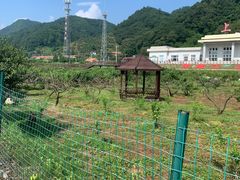 -河口景区