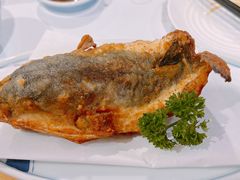 手撕河豚鱼-天正河鲀·河豚亭(大连店)