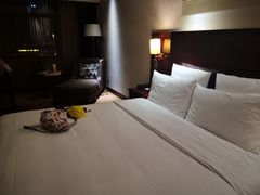 -长沙中国城戴斯酒店