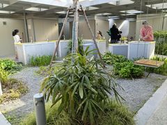 -丹东路渡口(轮渡站)