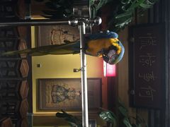 那家小馆(中关村店)-那家小馆•北京菜•烤鸭(中关村店)