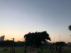 -万绿园