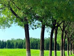 -汉长安城未央宫国家考古遗址公园