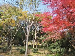 -尚贤河湿地