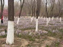 -永定河休闲森林公园