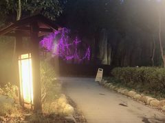 -山湖温泉