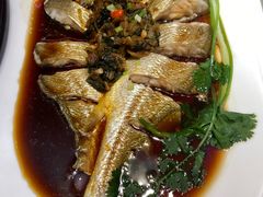 -苏大嘴蒸汽海鲜·海胆蒸饺(中山广场店)