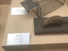 -沈阳“九·一八”历史博物馆