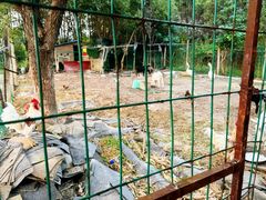 -呼吸森林·生态农庄农家乐私房菜