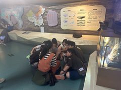 -陕西自然博物馆