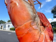 -品鲜村农家菜·阳澄湖大闸蟹(总店)
