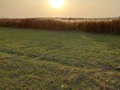 -盘龙城国家考古遗址公园