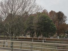 -江滩湿地公园