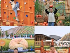 -中国天府农业博览园