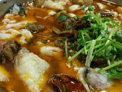 -龙梅肥肠鱼(明瓦廊店)