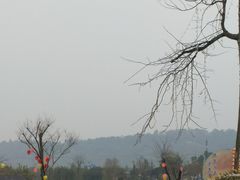 -眉山湿地公园(东坡区)