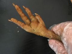 -鸡脚旮旯平江路店