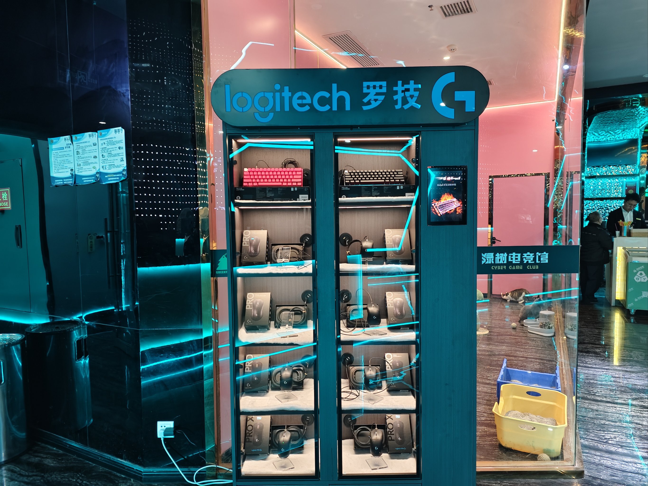 绿树电竞:硬核玩家的终极战场!‌