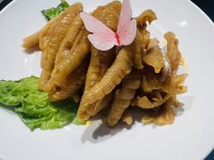 -四季春