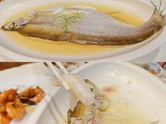 -席家花园(巨鹿花园店)