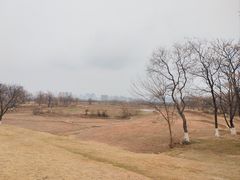 -盘龙城遗址博物院