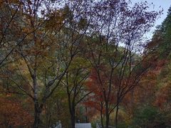-驼梁风景区